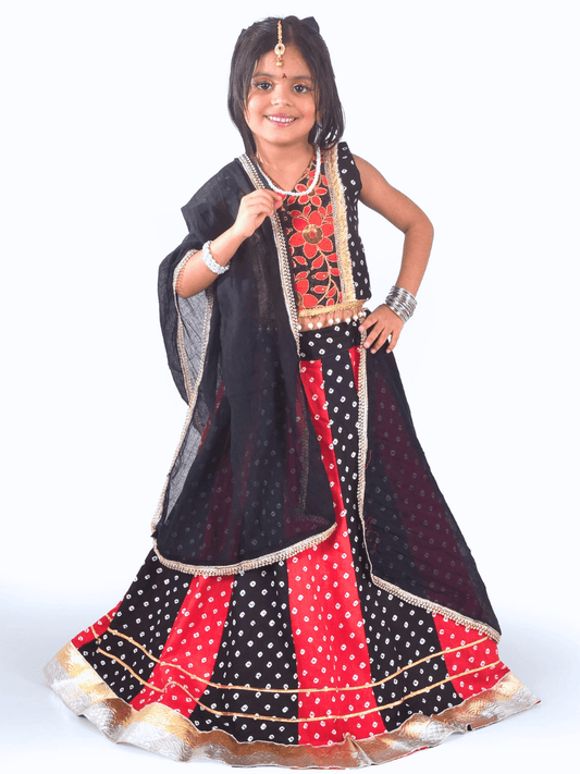 Black & Red Floral Embroidered Lehenga Choli Set